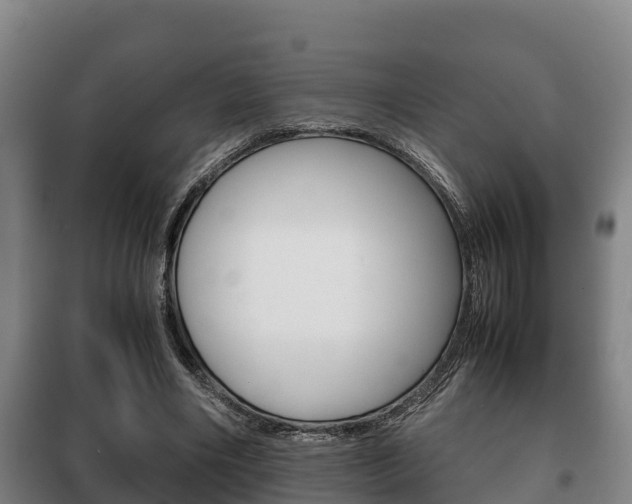 X0000100420490200806060951