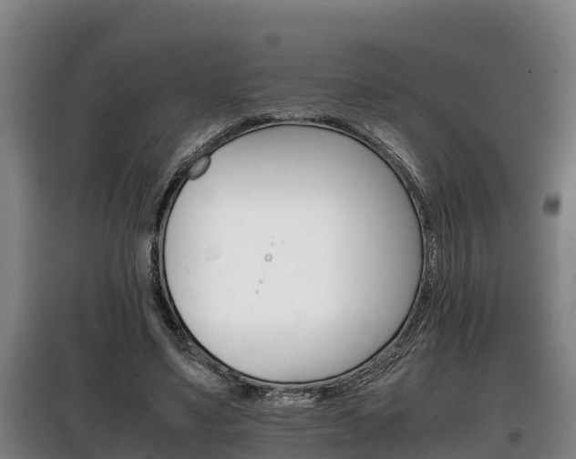 X0000100420491200806060951
