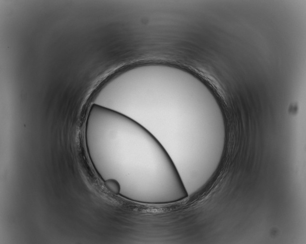 X0000100420492200806060951