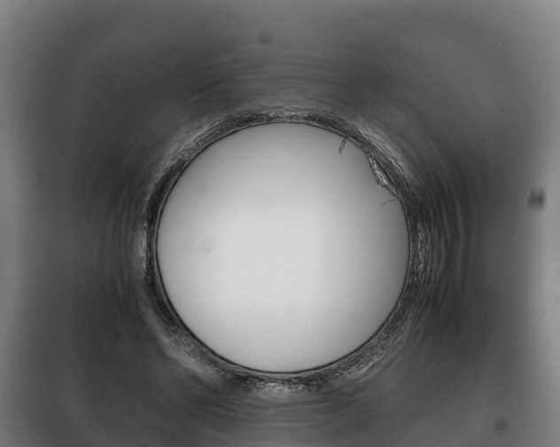 X0000100420494200806060951