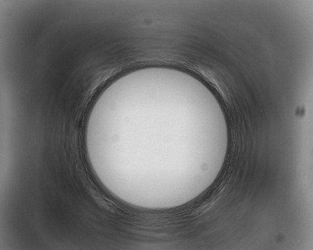 X0000100420495200806060951