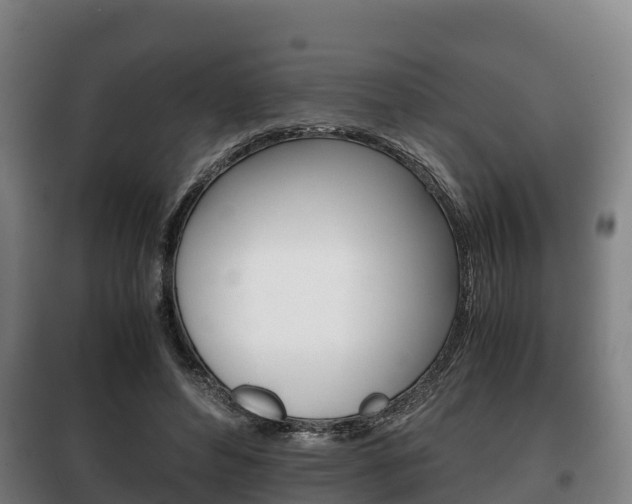 X0000100420496200806060951