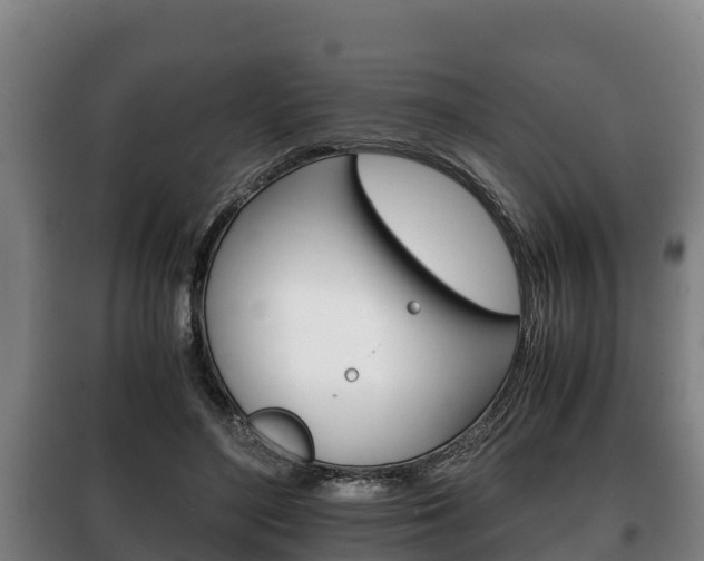 X0000100420500200806060951
