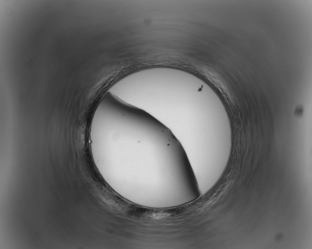 X0000100420501200806060951