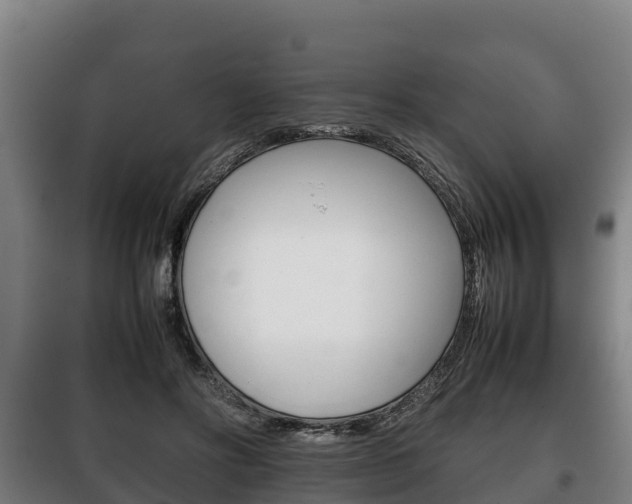 X0000100420502200806060951