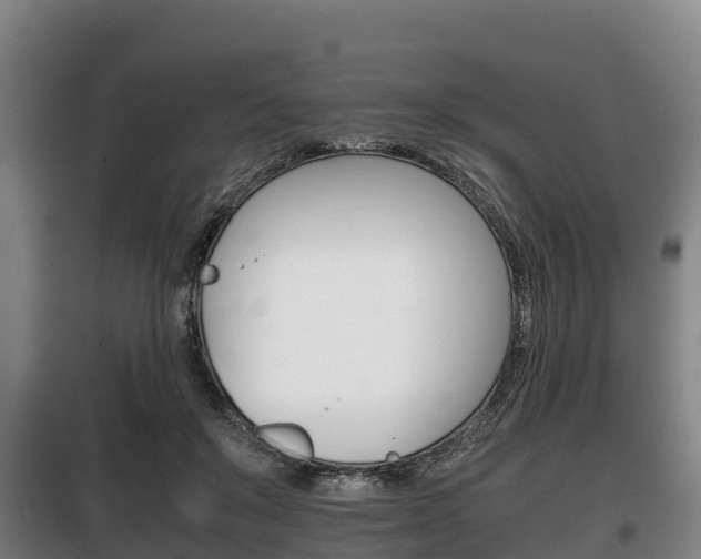 X0000100420503200806060951
