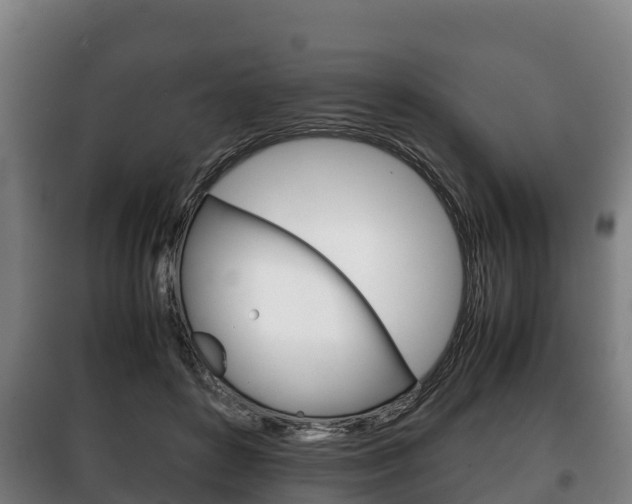 X0000100420504200806060951