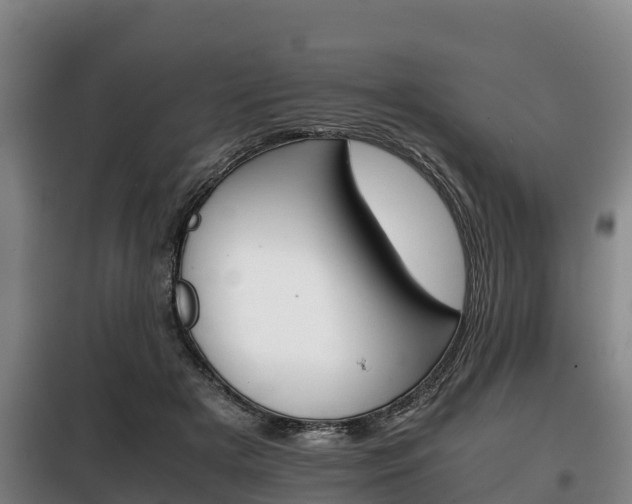 X0000100420505200806060951