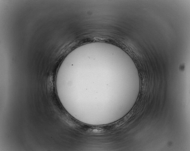 X0000100420506200806060951