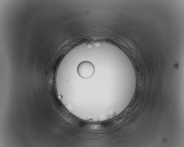 X0000100420507200806060951