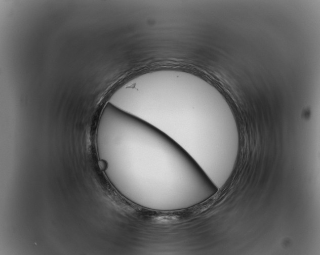 X0000100420508200806060951