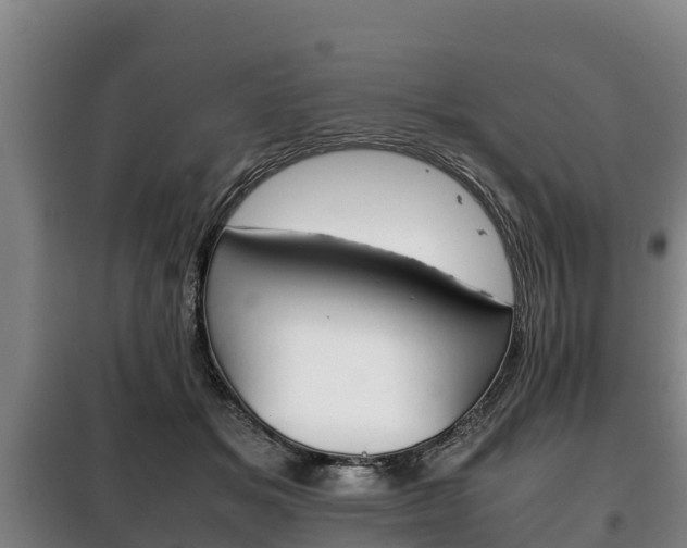 X0000100420509200806060951