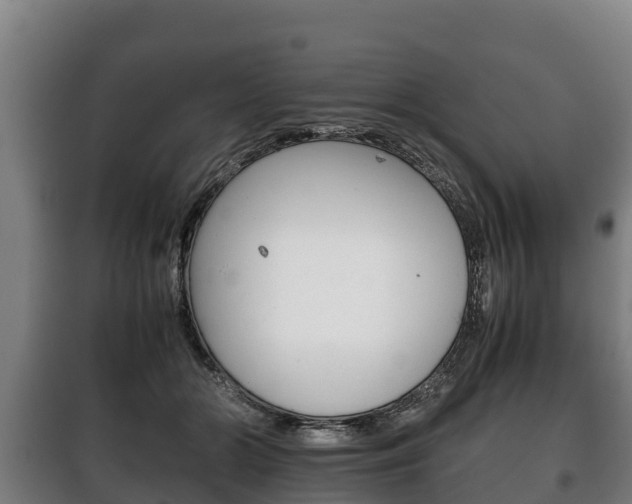 X0000100420510200806060951