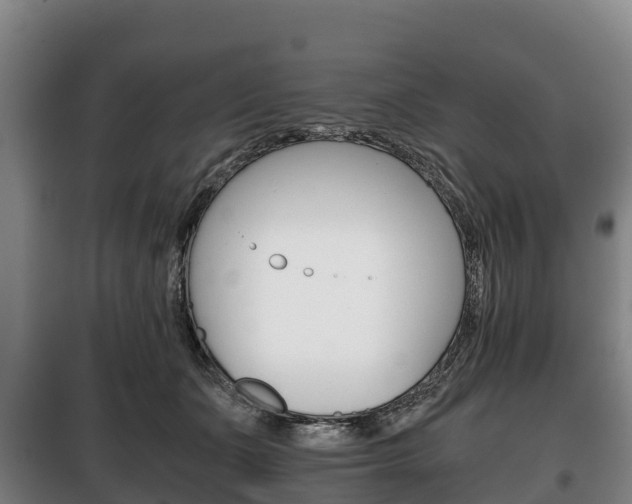 X0000100420511200806060951