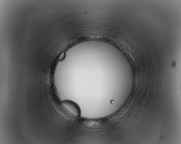 X0000100420512200806060951