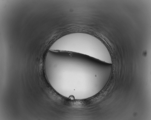 X0000100420513200806060951
