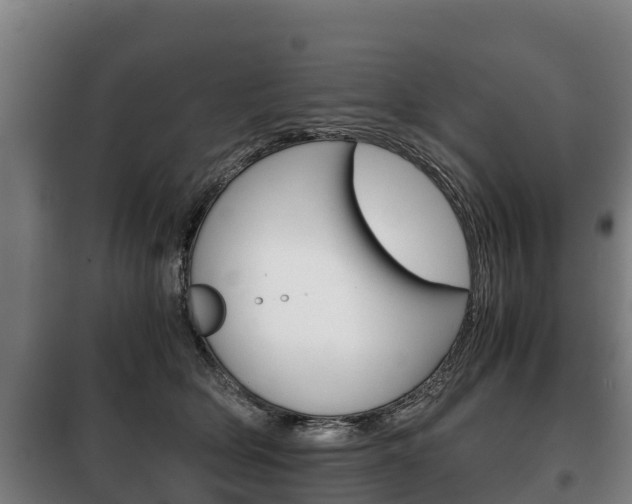 X0000100420514200806060951
