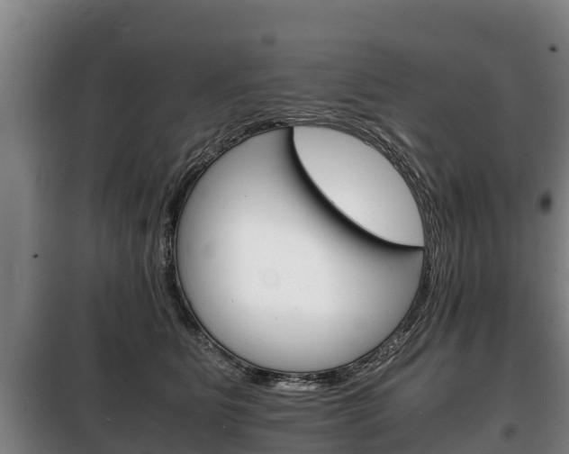 X0000100420515200806060951