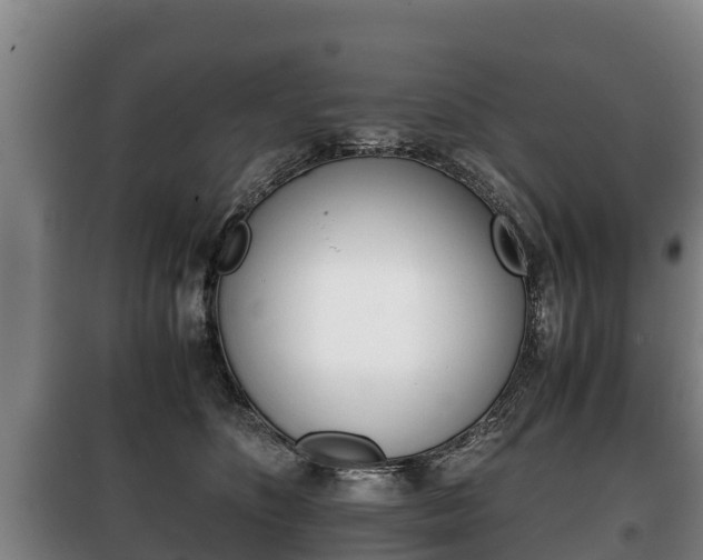 X0000100420516200806060951