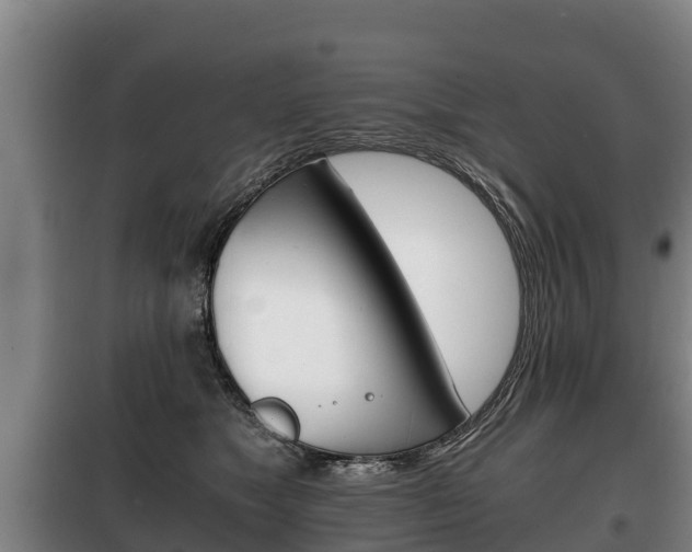 X0000100420517200806060951