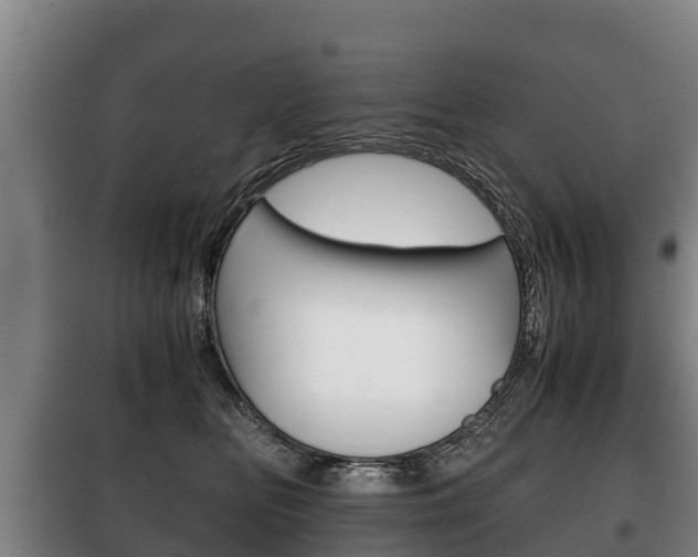 X0000100420518200806060951