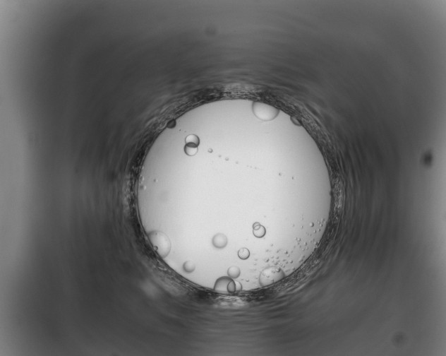 X0000100420519200806060951