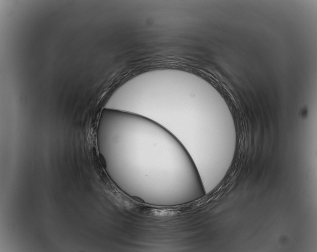 X0000100420520200806060951