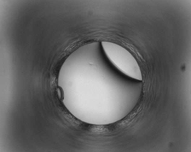 X0000100420521200806060951