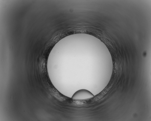 X0000100420522200806060951