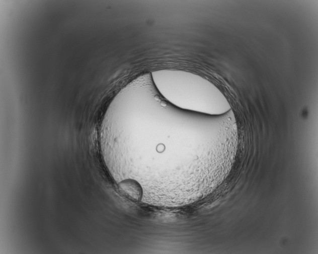X0000100420523200806060951