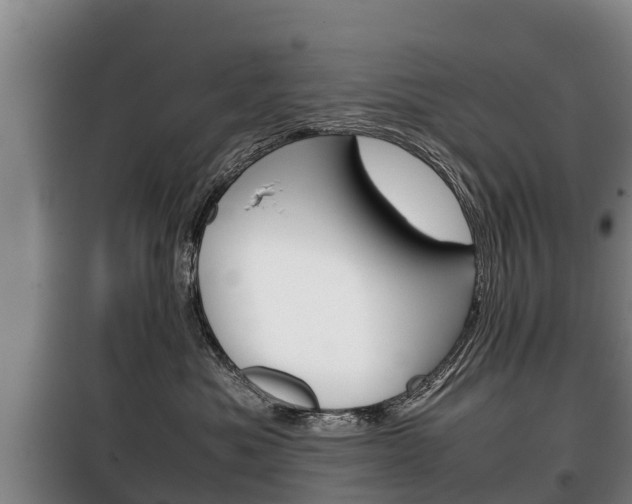 X0000100420525200806060951