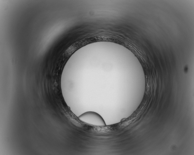 X0000100420526200806060951