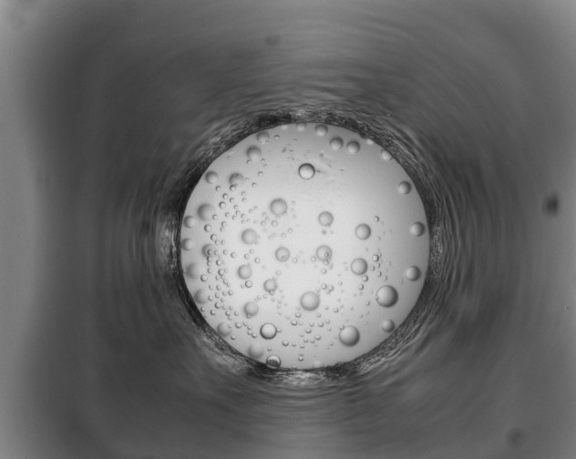 X0000100420527200806060951