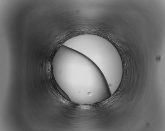 X0000100420528200806060951