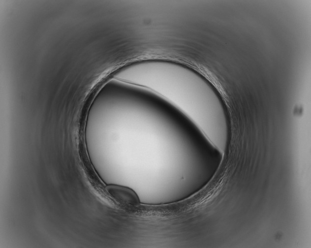 X0000100420530200806060950