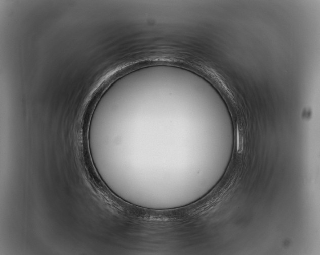 X0000100420531200806060950