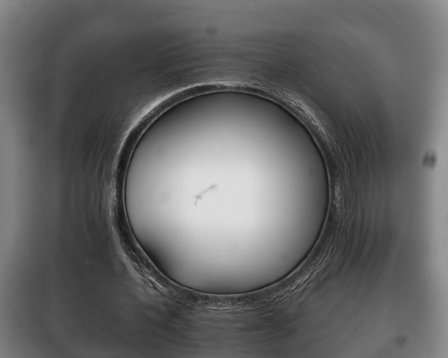 X0000100420532200806060950