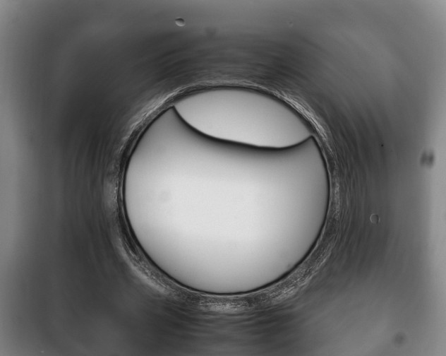 X0000100420533200806060950
