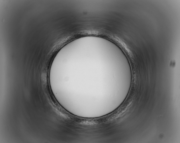 X0000100420537200806060950