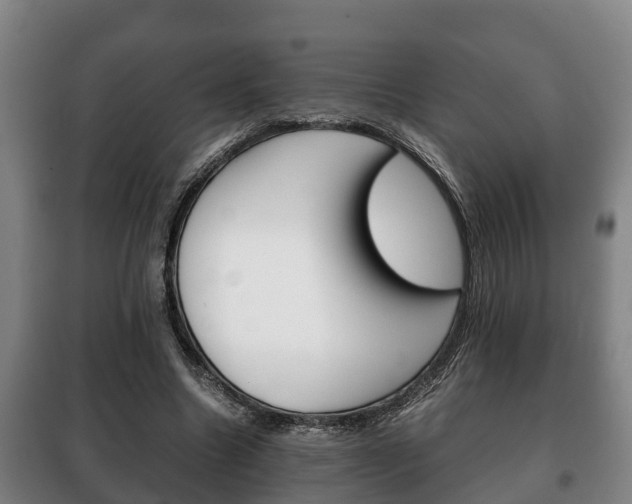 X0000100420538200806060950