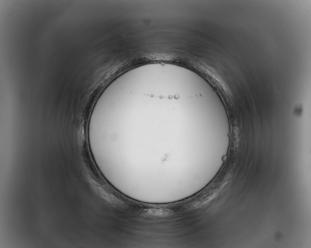 X0000100420541200806060950