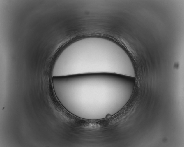 X0000100420543200806060950