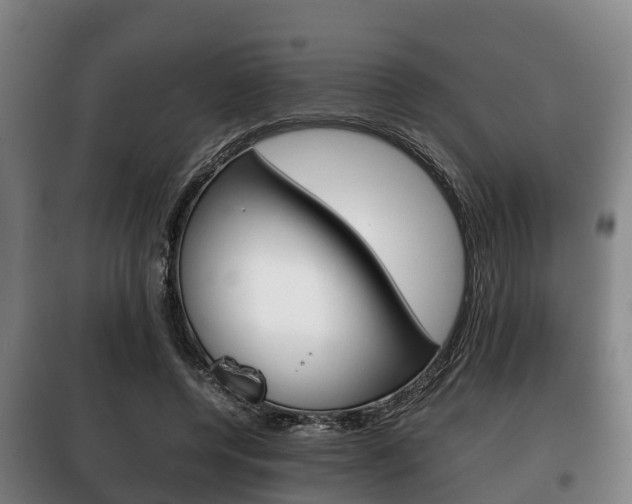 X0000100420544200806060950