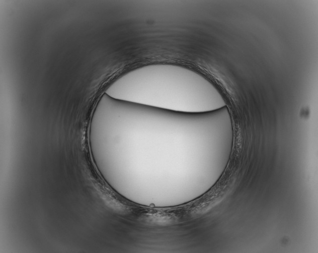 X0000100420545200806060950