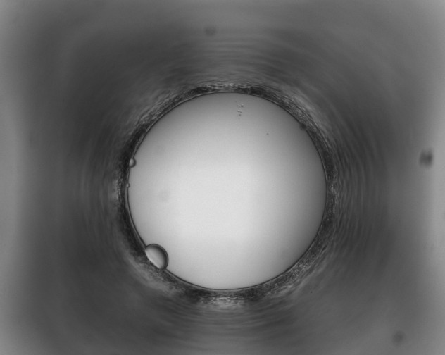 X0000100420546200806060950