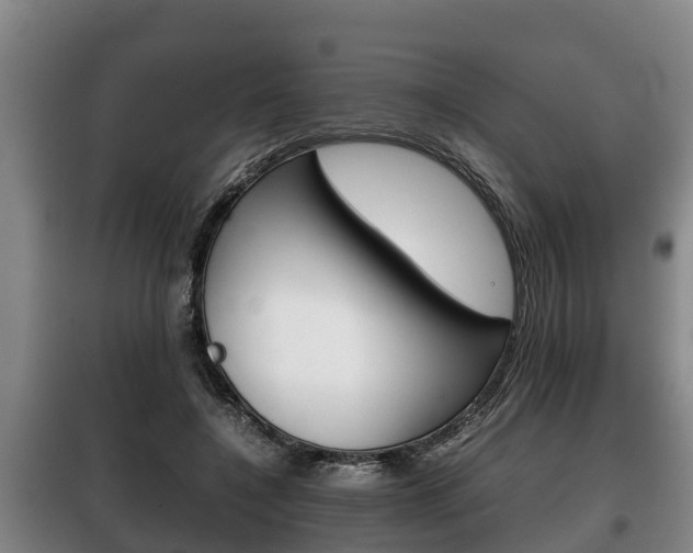 X0000100420548200806060950