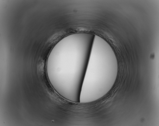 X0000100420550200806060950