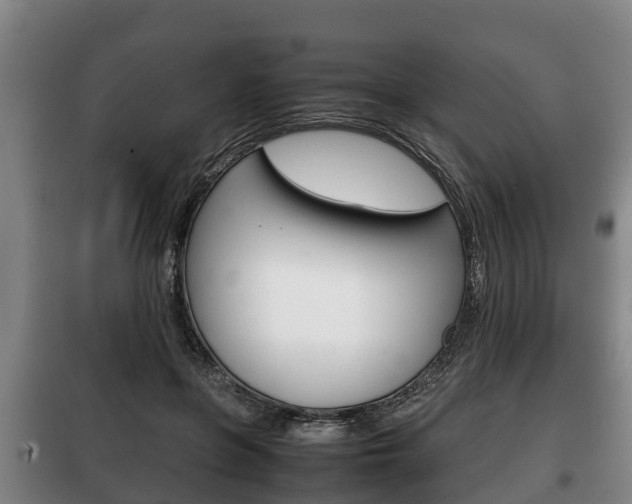 X0000100420551200806060950