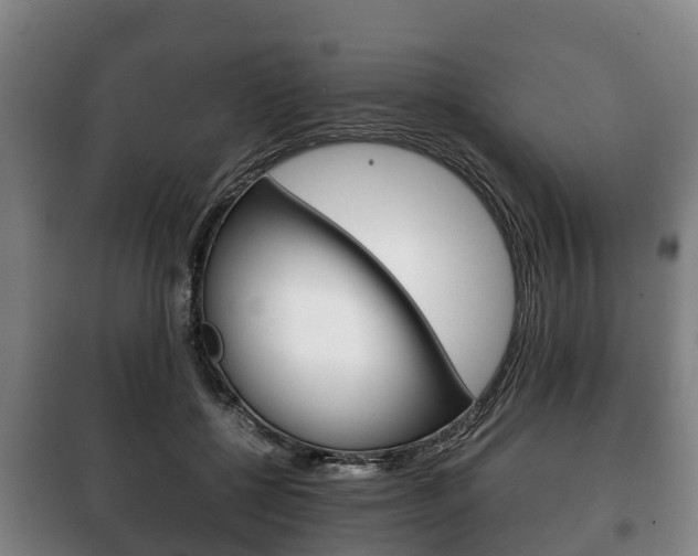 X0000100420552200806060950