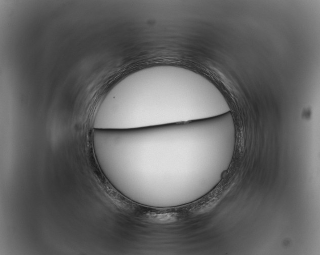 X0000100420553200806060950